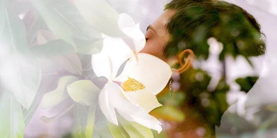 The 5 Crystals of the Summer Solstice