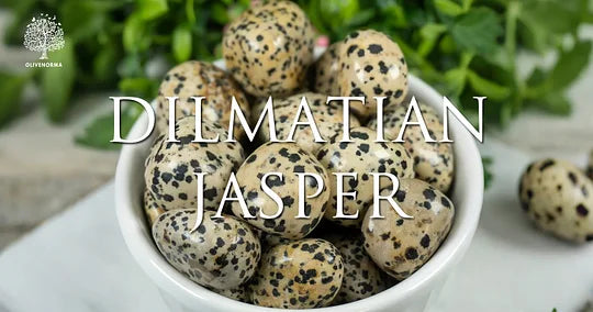 Dalmatian Jasper Meaning and Powerful Properties