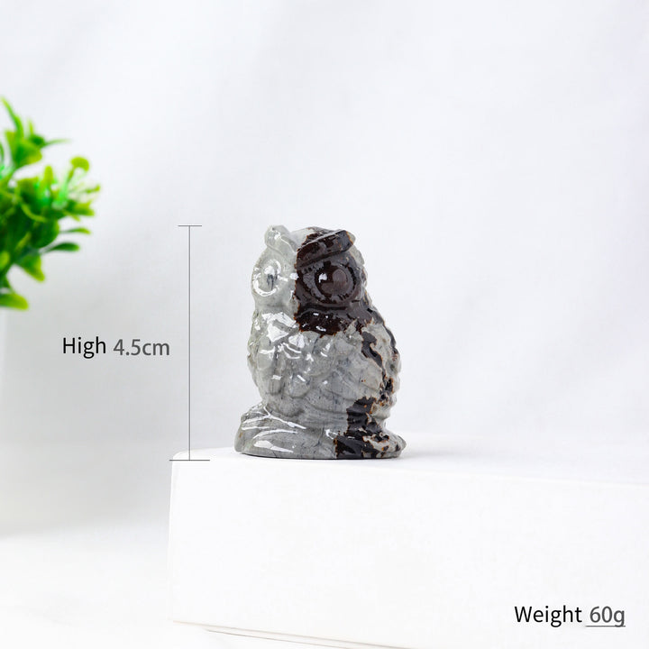 Olivenorma Natural Picture Jasper Owl Carving Craft Ornament - image 4