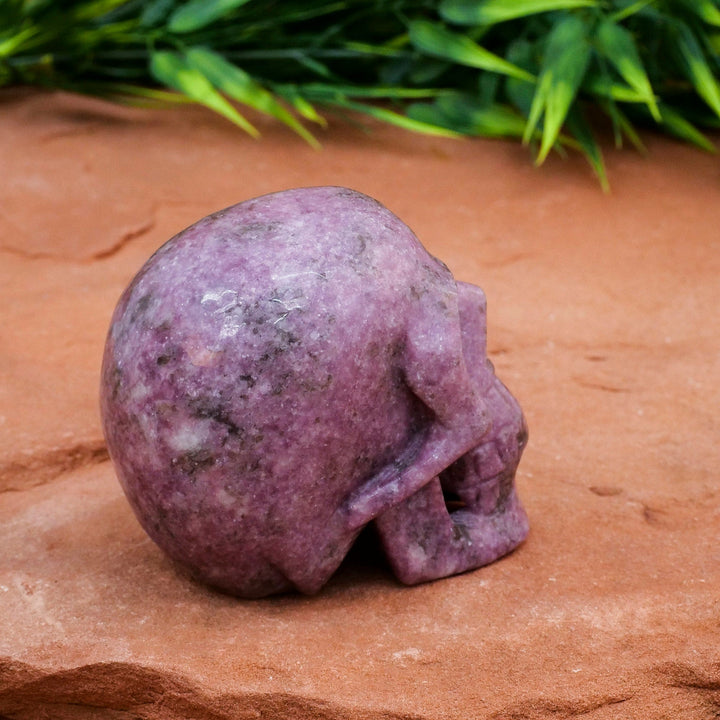 Olivenorma Lepidolite Crystal Skull Decoration - image 1