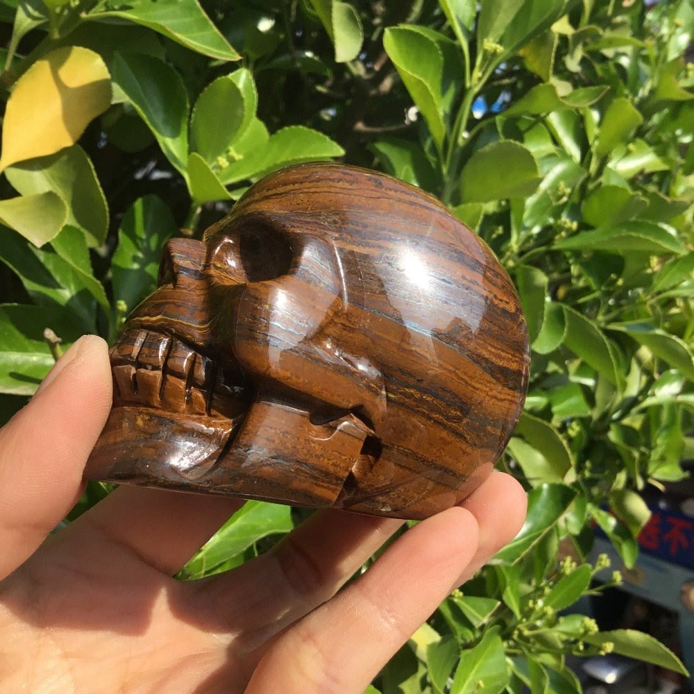 Olivenorma Tiger Eye Stone Crystal Skull Decoration - image 3