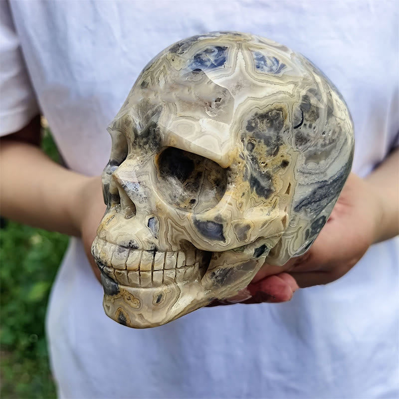 Olivenorma 10cm Natural Crazy Agate Gemstone Decoration Crystal Skull - image 2