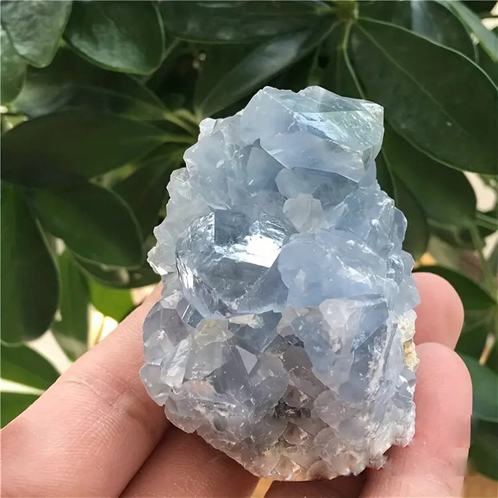 Olivenorma Irregular Natural Celestine Crystal Cluster Natural Stone - 150-200g - image 0