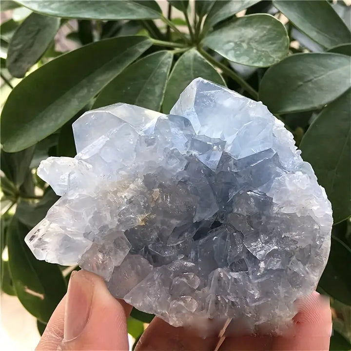 Olivenorma Irregular Natural Celestine Crystal Cluster Natural Stone - image 6