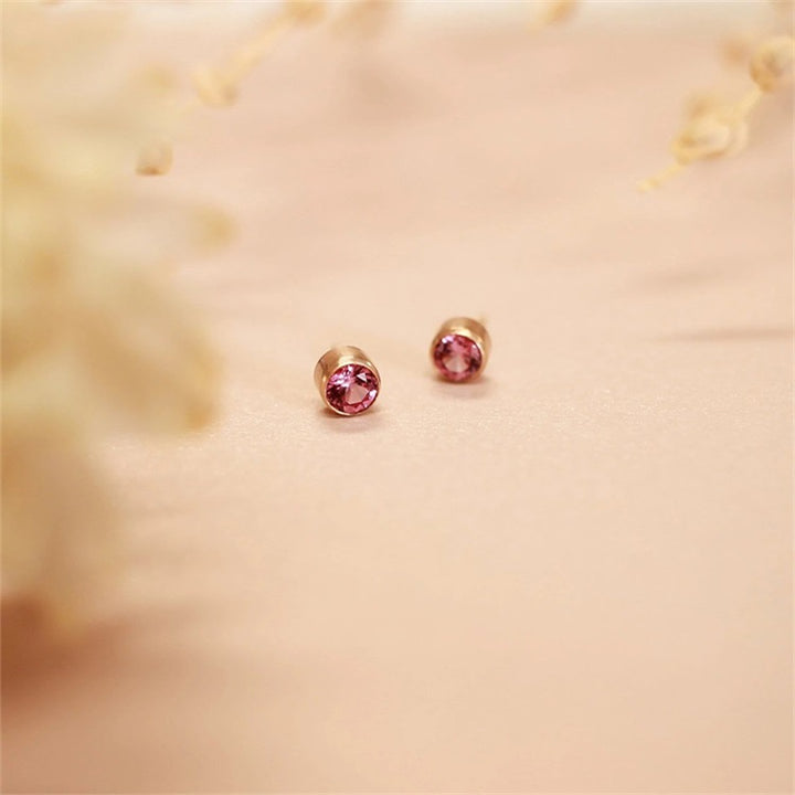 Olivenorma Birthstone Zircon Simple Earrings - image 26