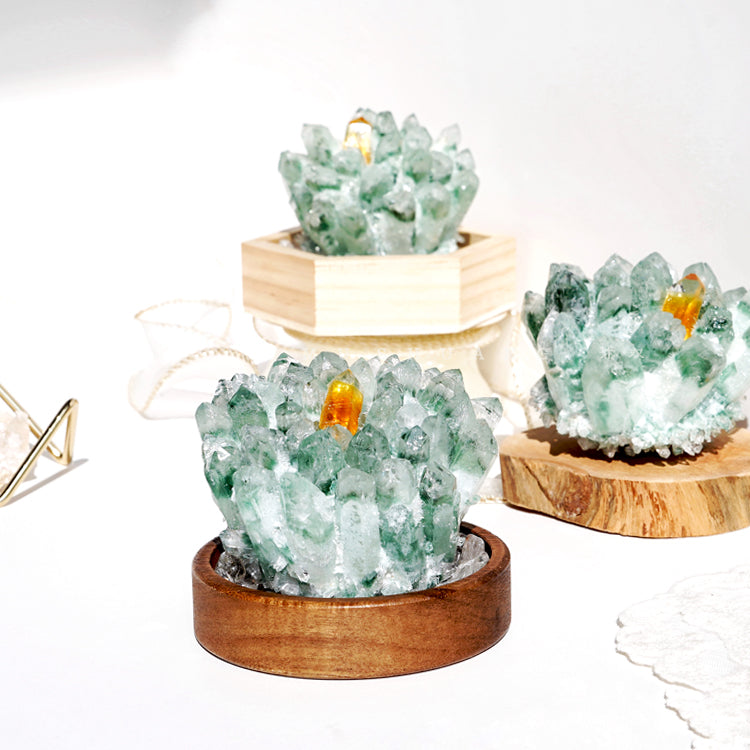 Olivenorma Green Phantom Quartz Solid Wood Base Crystal Cluster Decoration - image 5