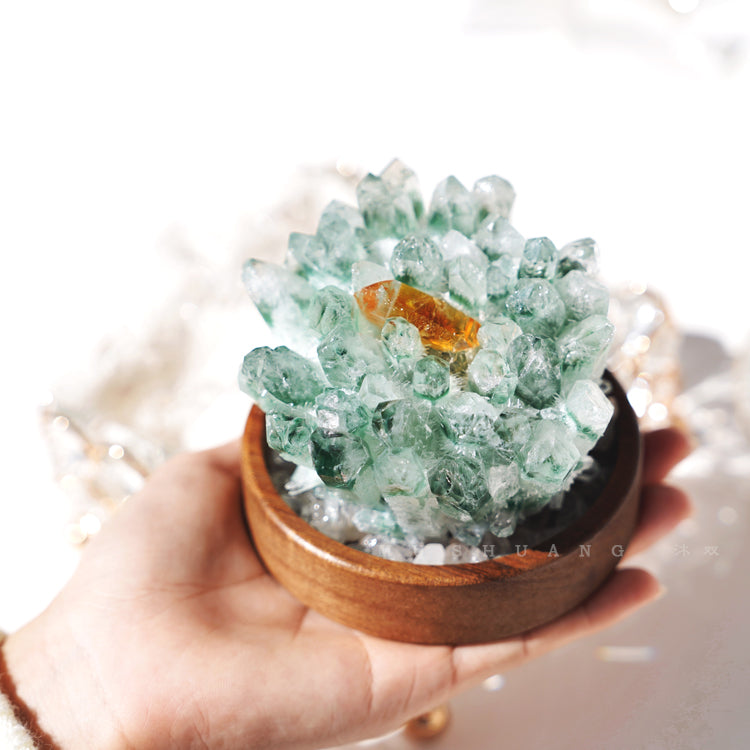 Olivenorma Green Phantom Quartz Solid Wood Base Crystal Cluster Decoration - image 4