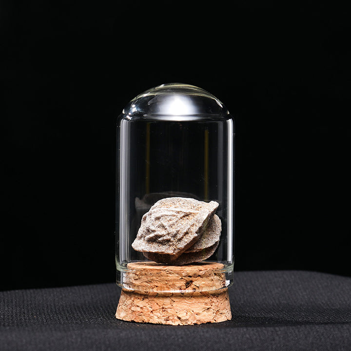 Olivenorma Natural Crystal Ore Specimen Ornaments Decoration - Desert Rose Stone - image 22