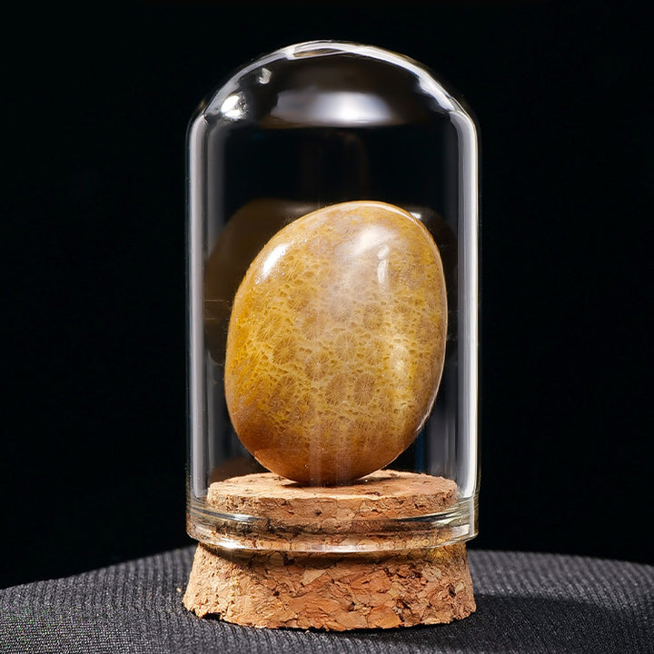 Olivenorma Natural Crystal Ore Specimen Ornaments Decoration - Jade Coral - image 25