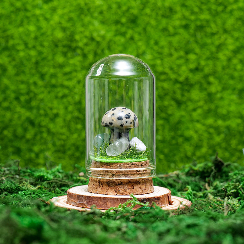 Olivenorma Natural Crystal Ore Specimen Ornaments Decoration - Small Mushroom & Dalmatian Jasper - image 43