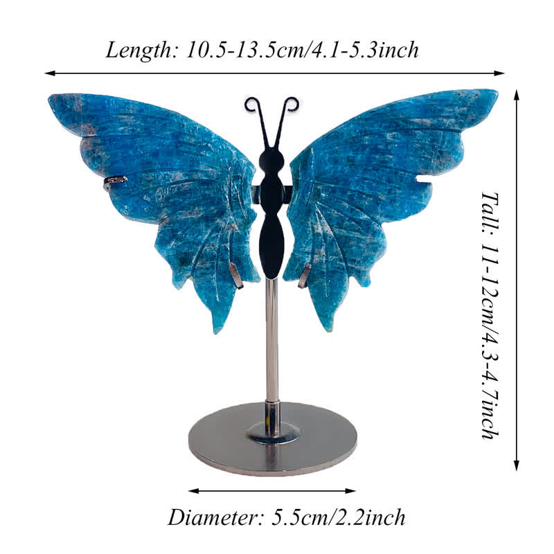 Olivenorma Natural Blue Apatite Butterfly Carving Gemstone Decoration - image 4