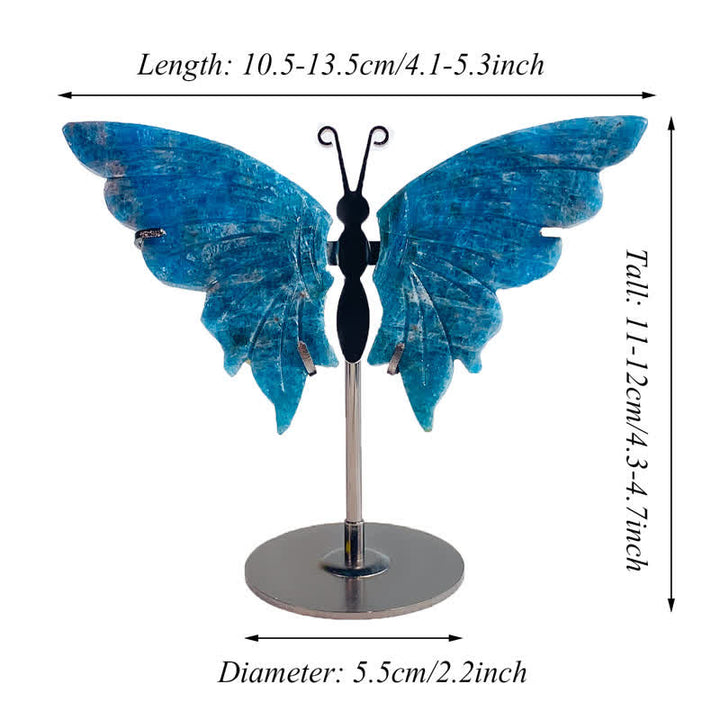 Olivenorma Natural Blue Apatite Butterfly Carving Gemstone Decoration - image 4