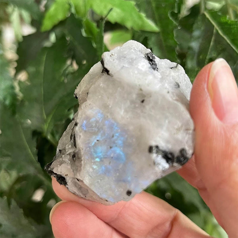 Olivenorma Raw Moonstone Gemstone Decoration Natural Stone - 150-300g - image 0