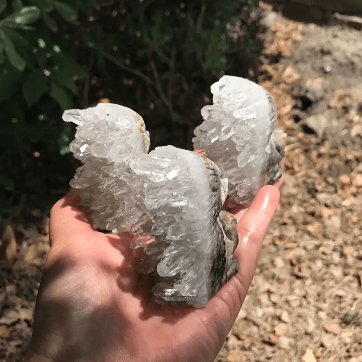 Olivenorma White Crystal Cluster Engraved Hedgehog Gemstone Decoration - image 3