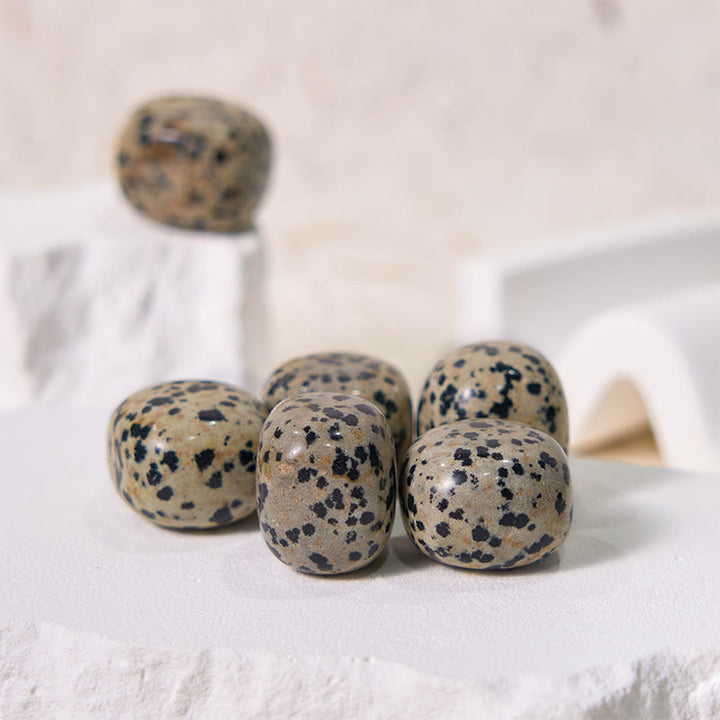 Olivenorma Natural Dalmatian Jasper Tumbled Healing Stone - image 4