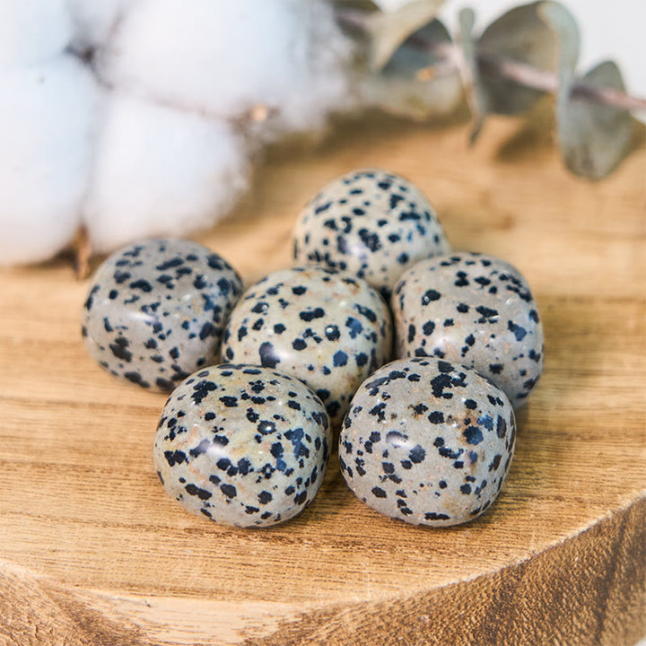 Olivenorma Natural Dalmatian Jasper Tumbled Healing Stone - 2-3cm 100g - image 0