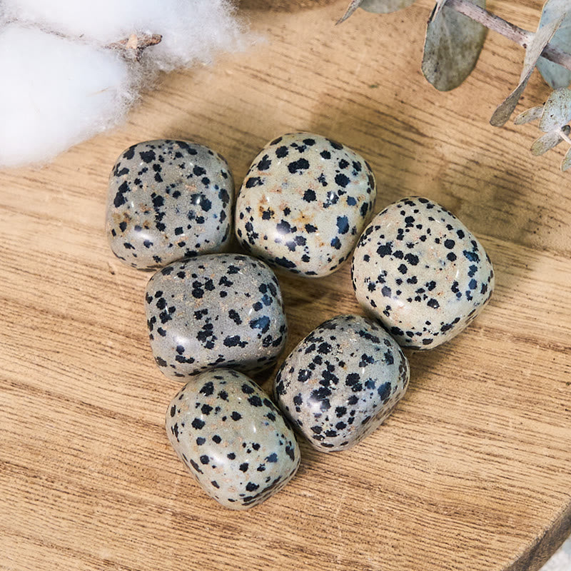 Olivenorma Natural Dalmatian Jasper Tumbled Healing Stone - image 2