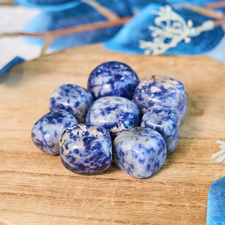 Olivenorma Natural Blue Spot Jasper Tumbled Stone Set - image 0