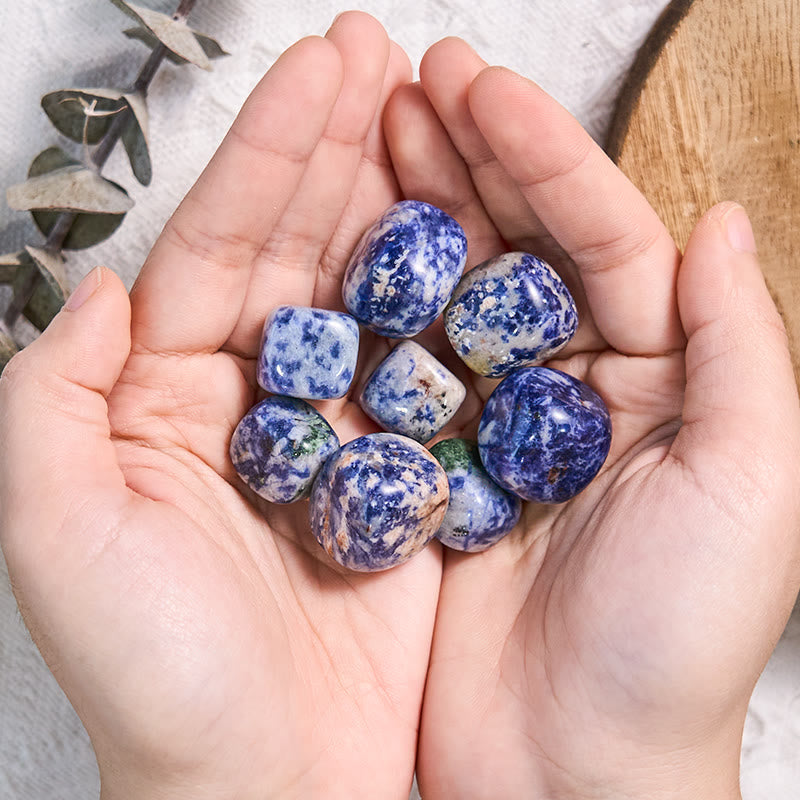 Olivenorma Natural Blue Spot Jasper Tumbled Stone Set - image 1
