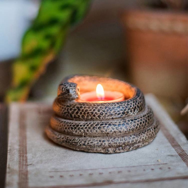 Olivenorma Realistic Coiled Snake Candle Holder - image 8