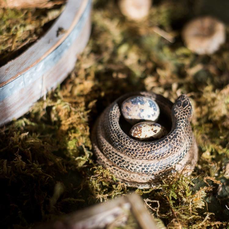 Olivenorma Realistic Coiled Snake Candle Holder - image 5