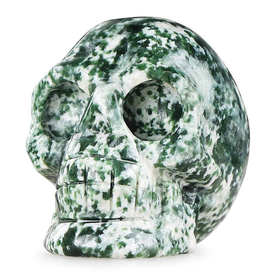 Olivenorma Natural Clear Crystal Gemstone Decoration Crystal Skull - 2inch Green Point Stone - image 16