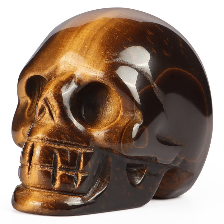 Olivenorma Natural Clear Crystal Gemstone Decoration Crystal Skull - 2inch Tiger Eye - image 9