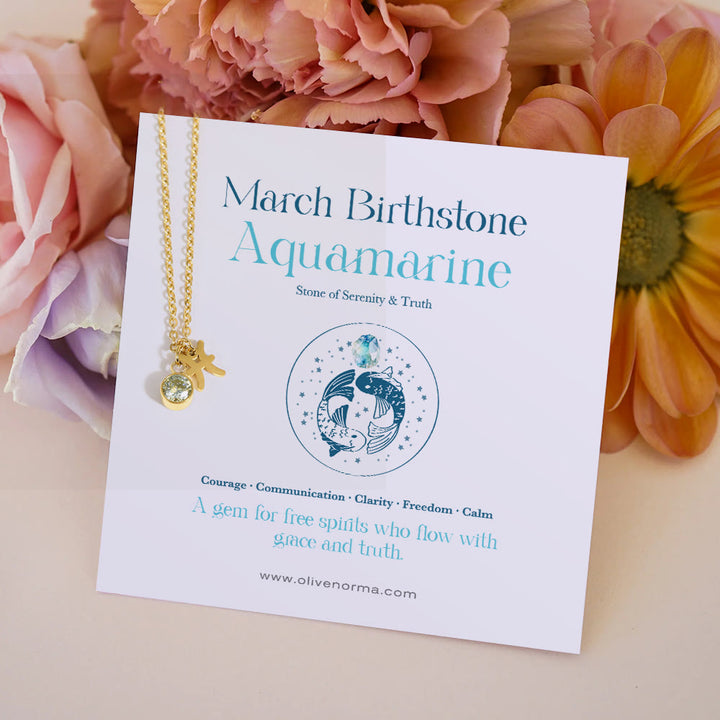 Olivenorma Zodiac Rune Birthstone Stainless Steel Gift Card Necklace - March/Pisces&Aquamarine - With Zodiac Card - image 3