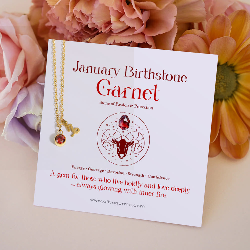 Olivenorma Zodiac Rune Birthstone Stainless Steel Gift Card Necklace - January/Capricorn& - With Zodiac Card - image 4
