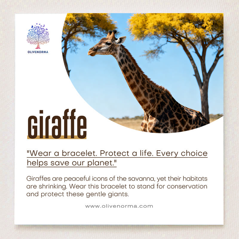 Olivenorma Giraffe Conservation Bracelet with Card - image 1