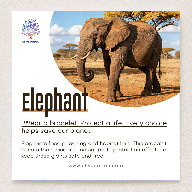 Olivenorma Elephant Protection Bracelet with Card - image 1