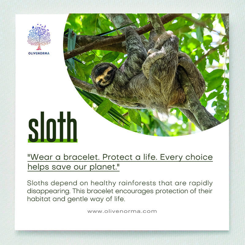 Olivenorma Sloth Conservation Bracelet with Card - image 1