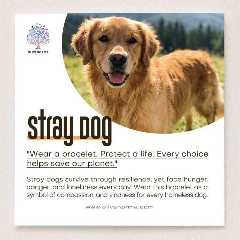 Olivenorma Stray Dog Paw Protection Bracelet with Card - image 1