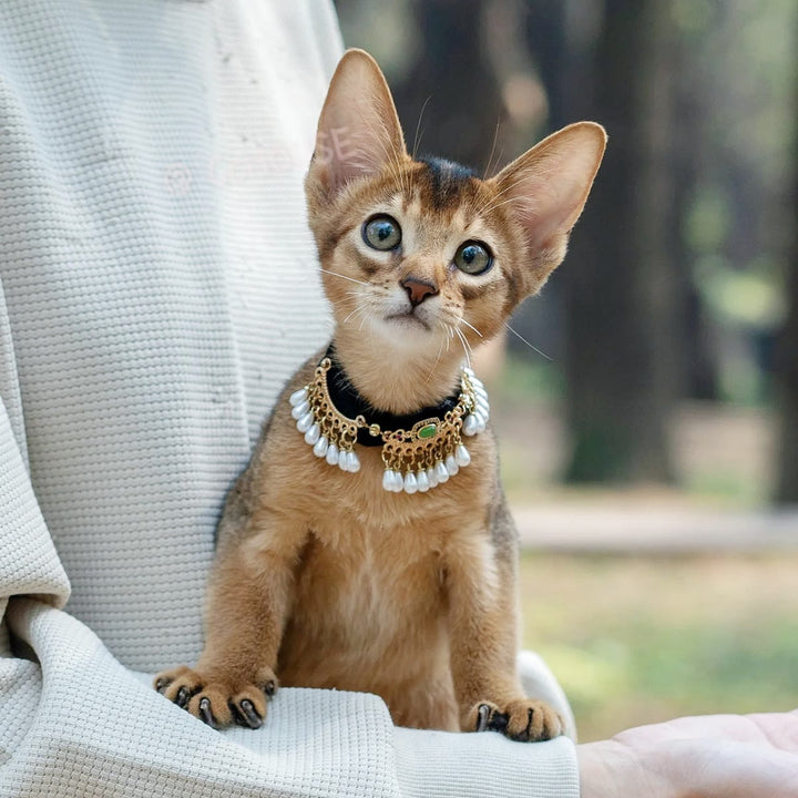 Olivenorma Cute Kitten Healing Crystal Green Aventurine Pet Collar - image 0