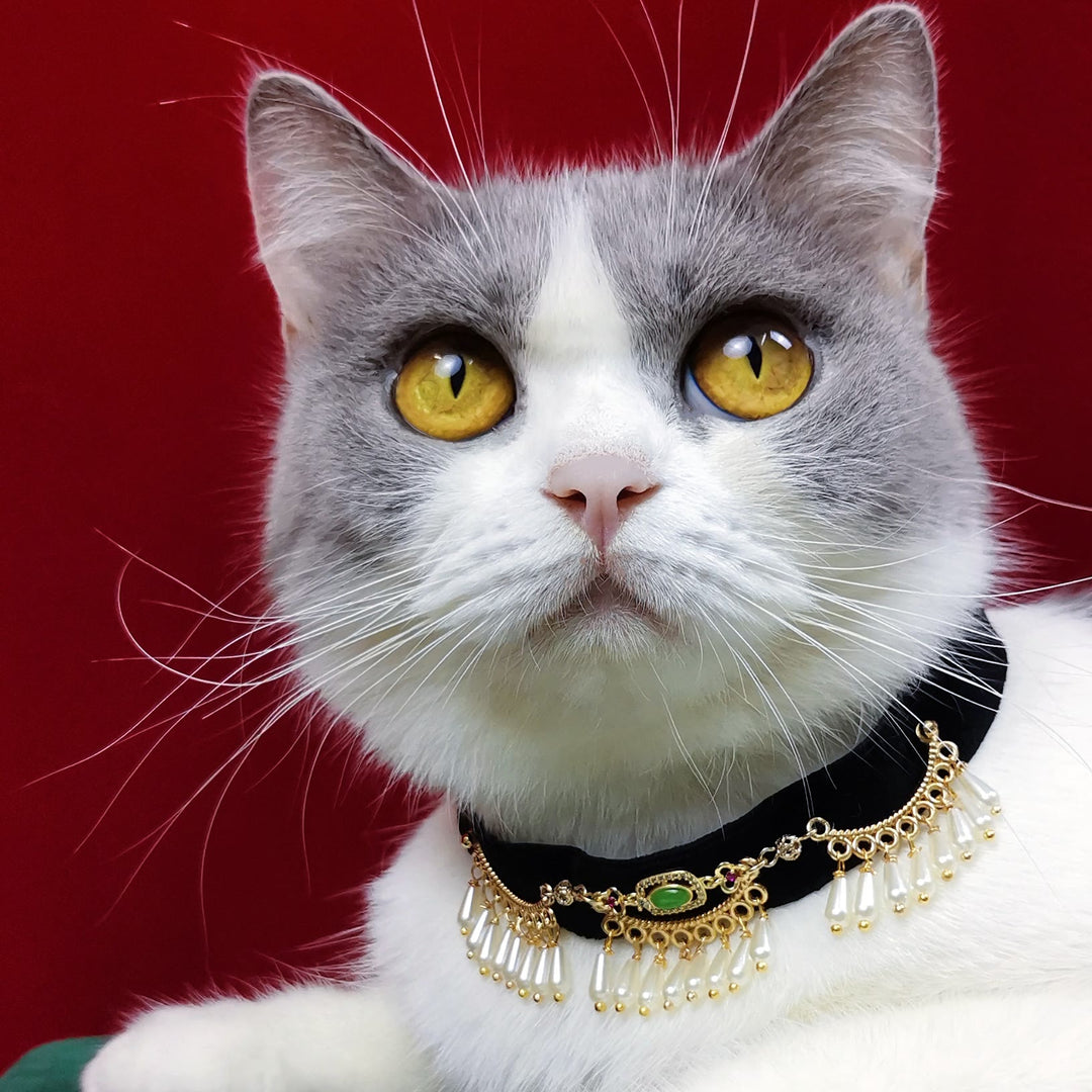 Olivenorma Cute Kitten Healing Crystal Green Aventurine Pet Collar - image 5