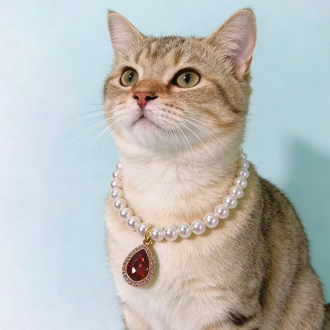 Olivenorma Natural Crystal Cute Kitten Elegant Pearl Pet Collar - image 0