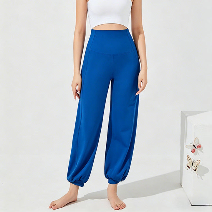 Olivenorma High Waist Ankle Length Harem Loose Yoga Women's Pants - Bright Blue - XXL - image 13