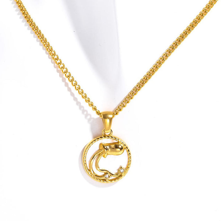 Olivenorma 12 Zodiac Sign Mother Of Pearl Round Coin Pendant Necklace  - Aquarius - image 15