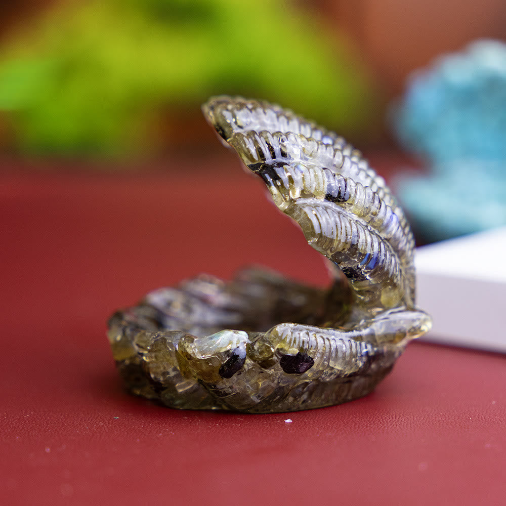 FREE Today: Resin-Filled Natural Crystal Seashell Desktop Ornament Decoration - Labradorite - image 23