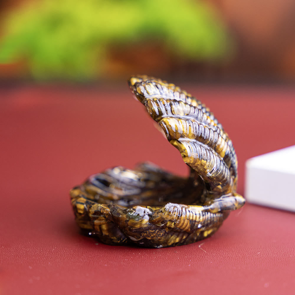 FREE Today: Resin-Filled Natural Crystal Seashell Desktop Ornament Decoration - Tiger Eye - image 10