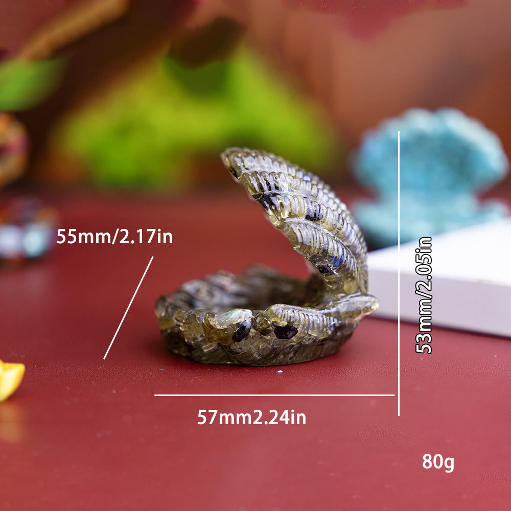 Olivenorma Resin-Filled Natural Crystal Seashell Desktop Ornament Decoration - image 38