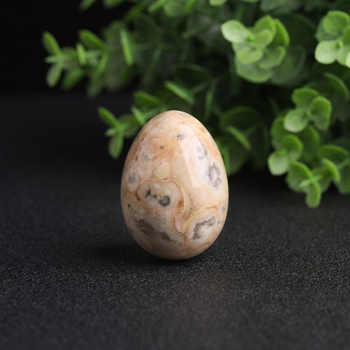 Olivenorma Polished‑Egg‑Shaped‑Tumbled Assorted Crystals Gemstone Decoration - Crazy Lace Agate - 10Pcs - image 42