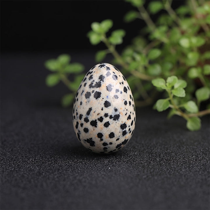 Olivenorma Polished‑Egg‑Shaped‑Tumbled Assorted Crystals Gemstone Decoration - Dalmatian Jasper - 10Pcs - image 8