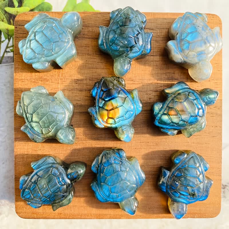 Olivenorma Labradorite Turtle Figurine Design Symbolizes Wisdom Decoration - image 6