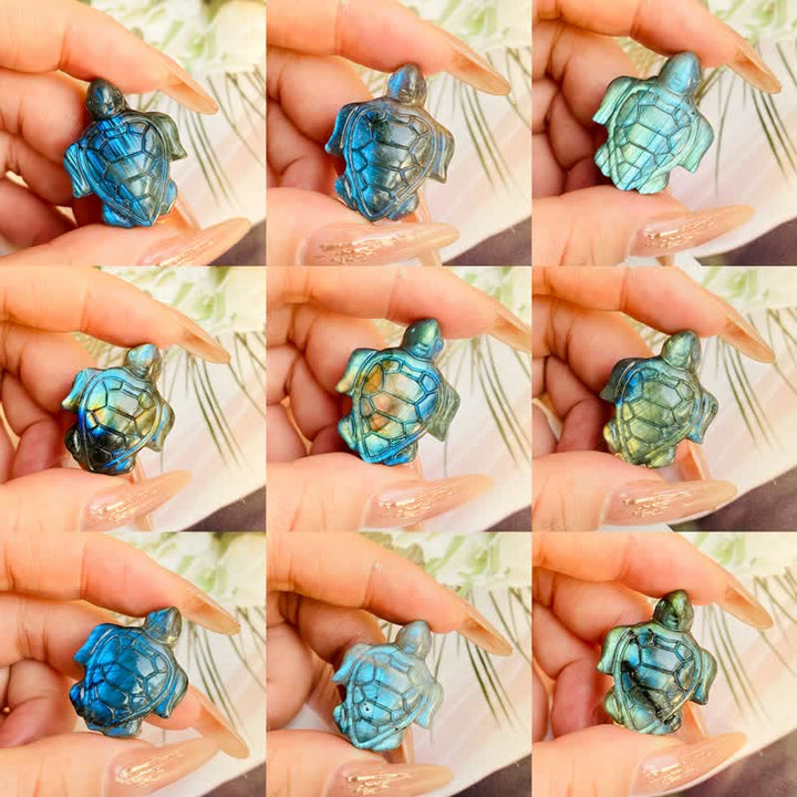 Olivenorma Labradorite Turtle Figurine Design Symbolizes Wisdom Decoration - image 7
