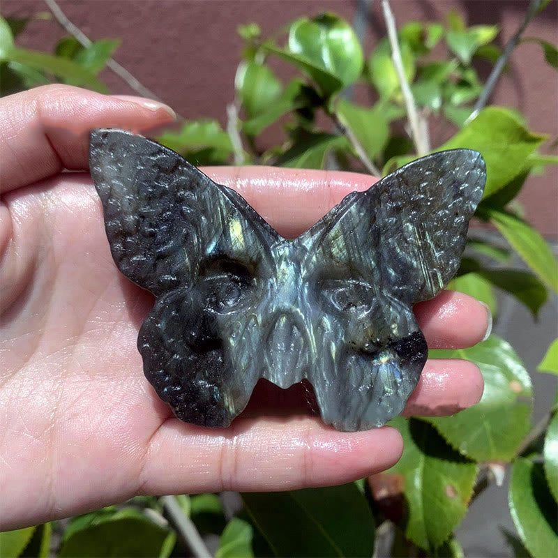 Olivenorma Natural Labradorite Butterfly Skull Gemstone Decoration - image 1