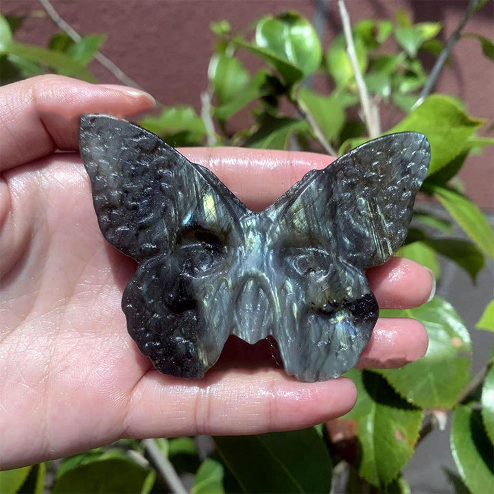 Olivenorma Natural Labradorite Butterfly Skull Gemstone Decoration - image 1