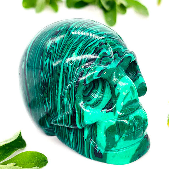 Olivenorma Natural Crystal Skull Halloween Decoration - image 45