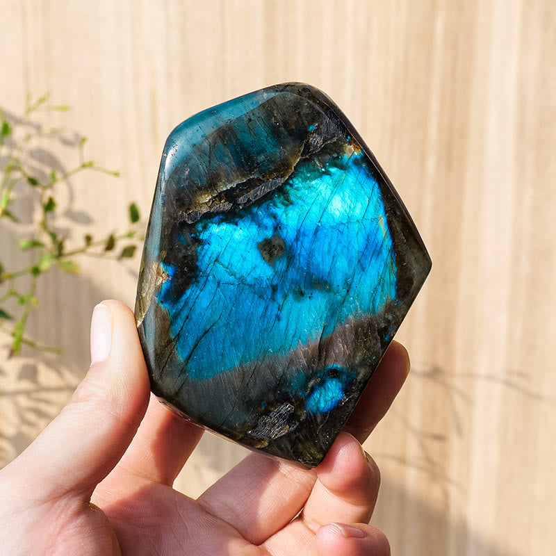 Olivenorma Natural Labradorite Rough Stone Gemstone Decoration - 300-350g - image 5
