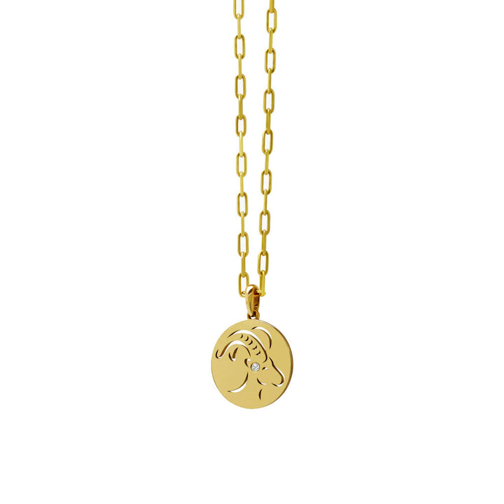 Olivenorma White Zircon Hollow Circle Zodiac Stainless Steel Necklace - Capricorn - image 13